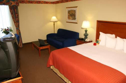 Ava Hotel Laredo